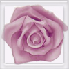 Goodywood's Avatar