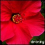 drcrzy's Avatar