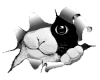 justmoi's Avatar