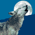 Wolf91's Avatar