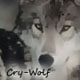 Cry-Wolf's Avatar