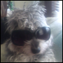 plastikjess's Avatar