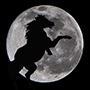 GreyMoon's Avatar