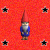 Spitze's Avatar