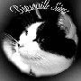 Bipsouille's Avatar