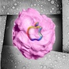 LoofahFlufferduff's Avatar