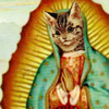 robokitty's Avatar