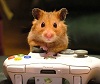 HamsterLover8's Avatar