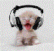 Iwika's Avatar