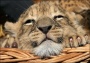 mauriemom's Avatar