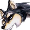 karvoo's Avatar