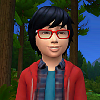 maxis does not support mods maxis does not support mods